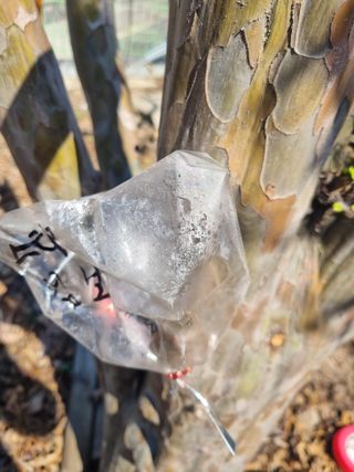 김용대님의 자유주제 · 자유게시판 작성글 사진