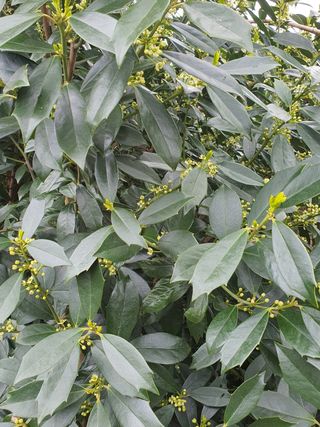 하나라도 소중하게님의 자유주제 · 자유게시판 작성글 사진