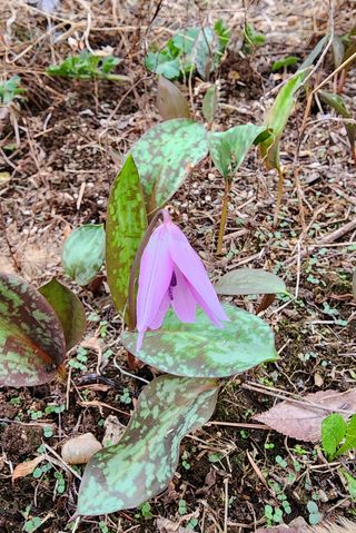 고추건조기부품판매님의 자유주제 · 자유게시판 작성글 사진