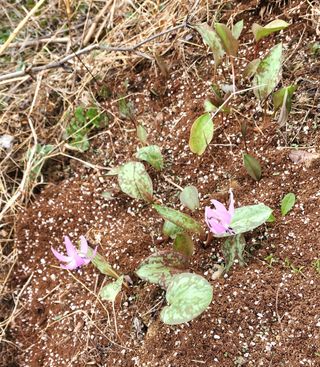 고추건조기부품판매님의 자유주제 · 자유게시판 작성글 사진