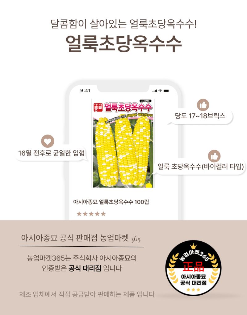 농업마켓365님의 장터 판매 상품 [농업마켓365 아시아종묘 초당옥수수 얼룩초당옥수수 100립 씨앗 종자 텃밭 주말농장 농사 옥수수] 첨부 사진