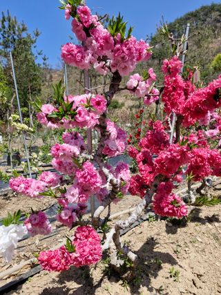 김재열님의 자유주제 · 자유게시판 작성글 사진