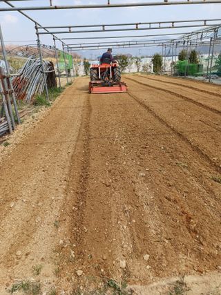 유영옥님의 일손 구하셨나요? · 참여글 작성글 사진