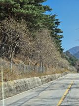 팜모닝 자유주제·자유게시판 게시글 이미지