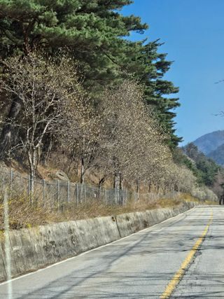 팜모닝회원 바이크농원님의 자유주제 · 자유게시판 작성글 사진