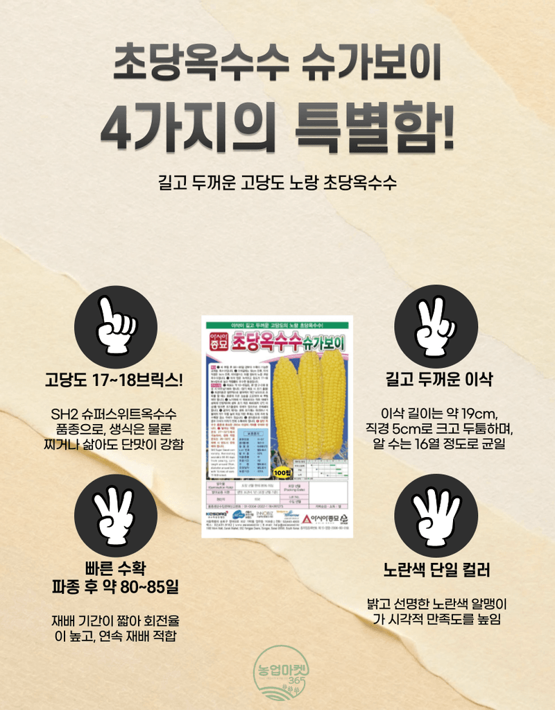 농업마켓365님의 장터 판매 상품 [농업마켓365 아시아종묘 초당옥수수 슈가보이 100립 씨앗 종자 텃밭 주말농장 농사 옥수수] 첨부 사진