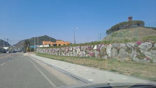 MSG0074님의 자유주제 · 자유게시판 작성글 사진