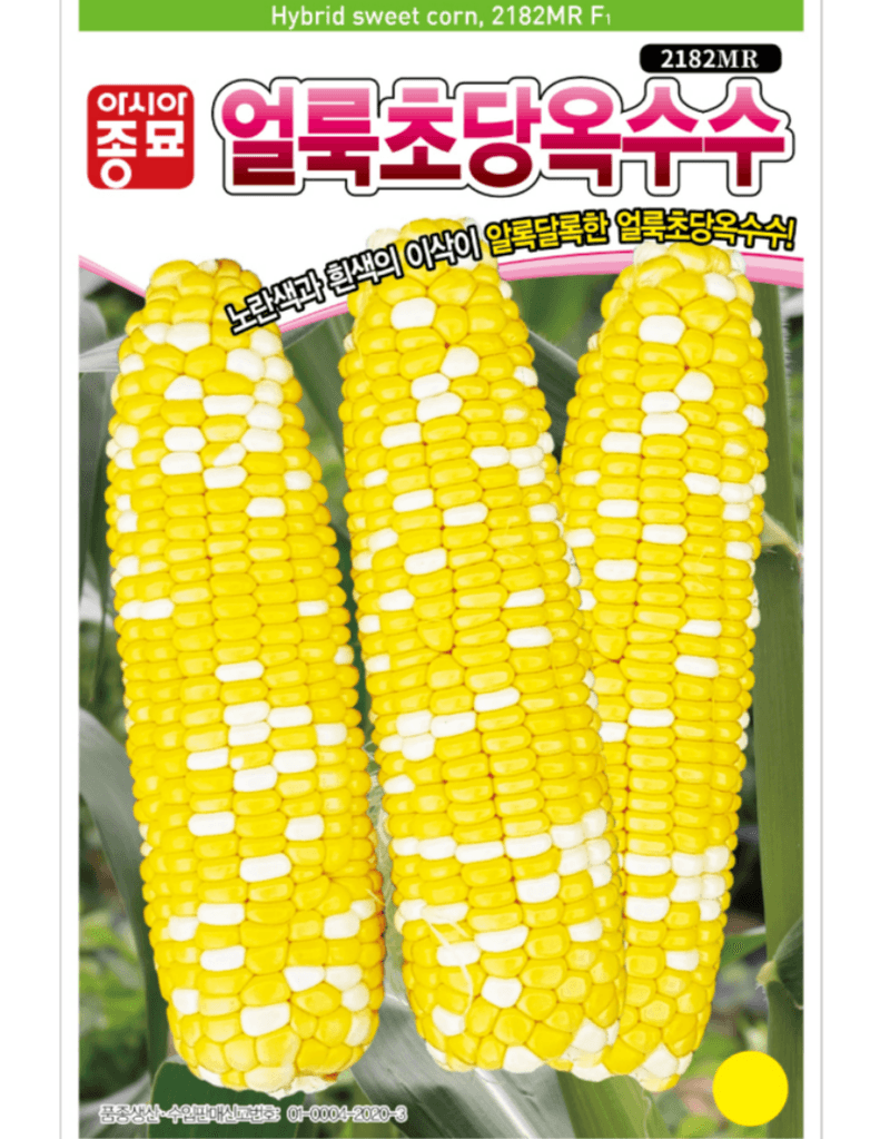 농업마켓365님의 장터 판매 상품 [농업마켓365 아시아종묘 초당옥수수 얼룩초당옥수수 2000립 씨앗 종자 텃밭 주말농장 농사] 첨부 사진