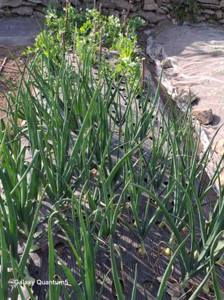 이세순님의 자유주제 · 자유게시판 작성글 사진