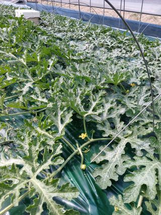 Smy1245678님의 자유주제 · 자유게시판 작성글 사진