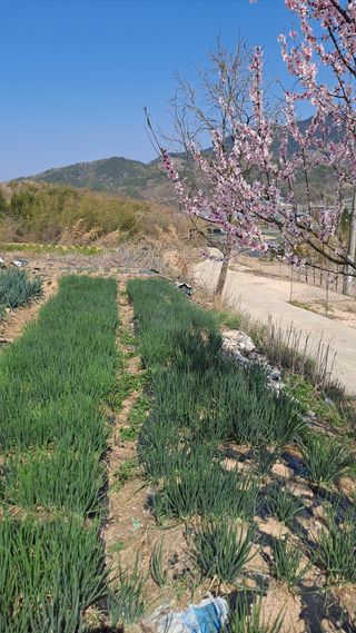 MSG0074님의 자유주제 · 자유게시판 작성글 사진