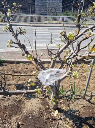 김용대님의 자유주제 · 자유게시판 작성글 사진