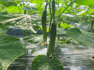 오이0213님의 자유주제 · 자유게시판 작성글 사진