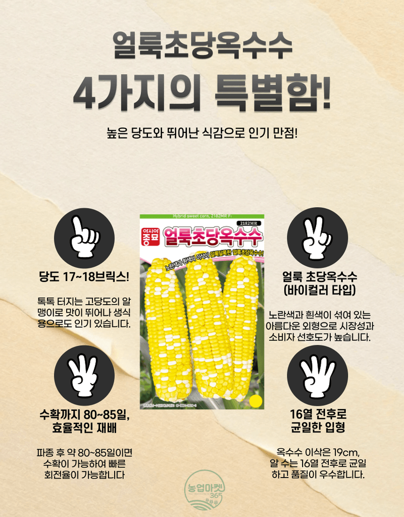 농업마켓365님의 장터 판매 상품 [농업마켓365 아시아종묘 초당옥수수 얼룩초당옥수수 2000립 씨앗 종자 텃밭 주말농장 농사] 첨부 사진