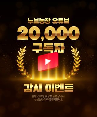 누보농장님의 자유주제 · 자유게시판 작성글 사진