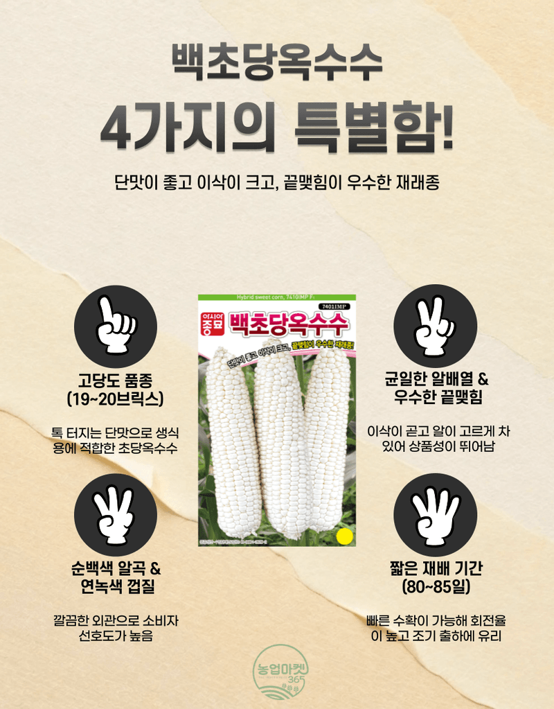 농업마켓365님의 장터 판매 상품 [농업마켓365 아시아종묘 초당옥수수 백초당옥수수 100립 씨앗 종자 텃밭 주말농장 농사 옥수수] 첨부 사진