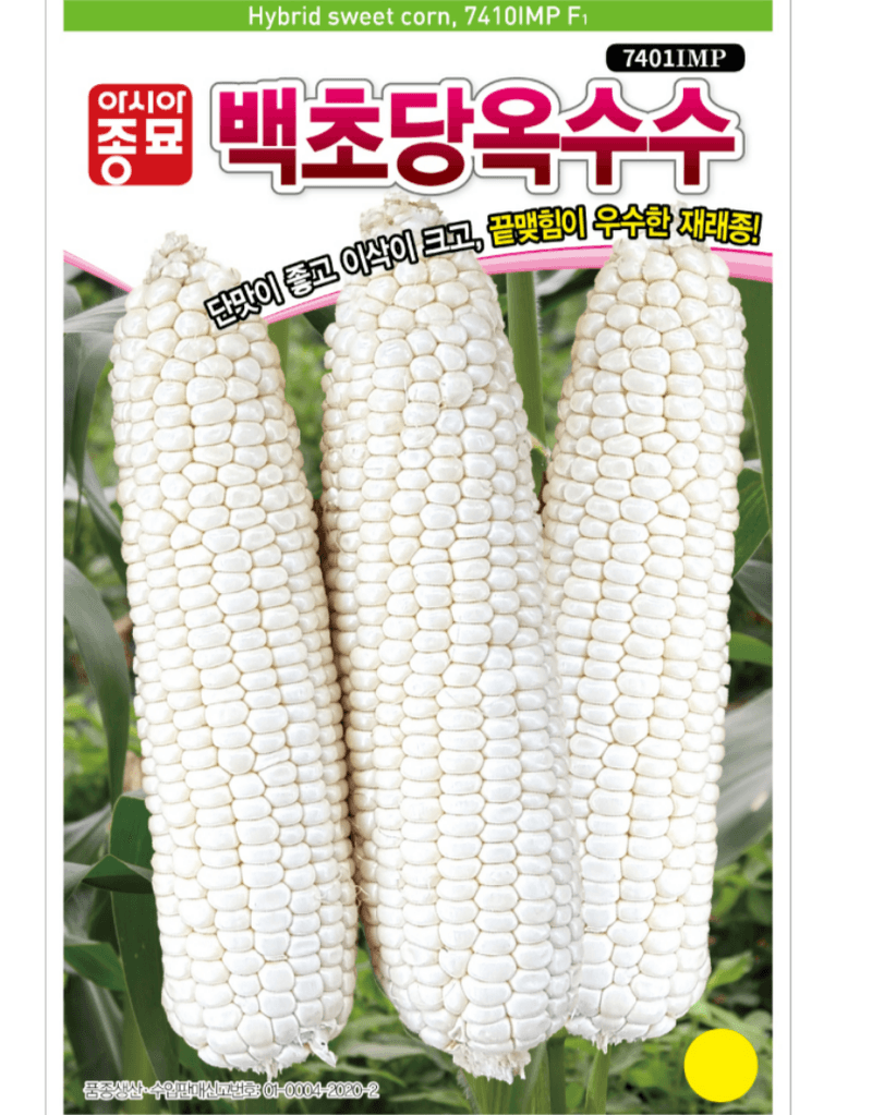 농업마켓365님의 장터 판매 상품 [농업마켓365 아시아종묘 초당옥수수 백초당옥수수 100립 씨앗 종자 텃밭 주말농장 농사 옥수수] 첨부 사진