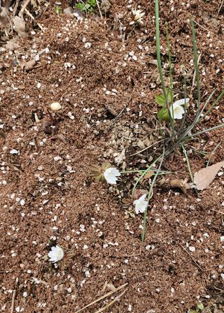 고추건조기부품판매님의 자유주제 · 자유게시판 작성글 사진