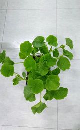 팜모닝 농사, 무엇이든 물어보세요!·참여글 게시글 이미지