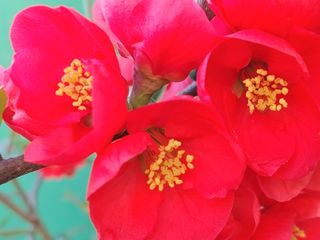 안길원님의 자유주제 · 자유게시판 작성글 사진