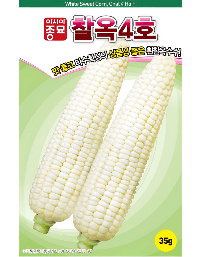 농업마켓365님의 장터 판매 상품 [농업마켓365 아시아종묘 옥수수 찰옥4호 35g 씨앗 종자 텃밭 주말농장 농사 ] 첨부 사진