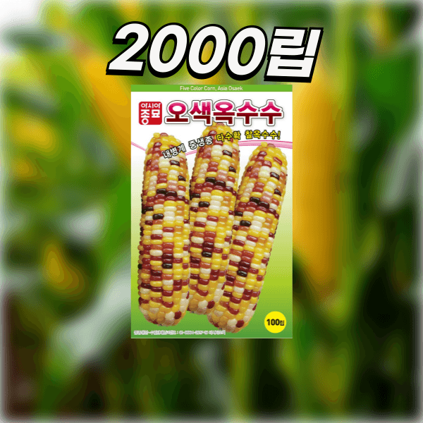 장터 상품 [농업마켓365 아시아종묘 옥수수 오색옥수수 2000립] 썸네일