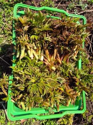 심재연님의 작성글 사진