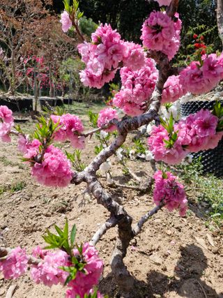 김재열님의 자유주제 · 자유게시판 작성글 사진