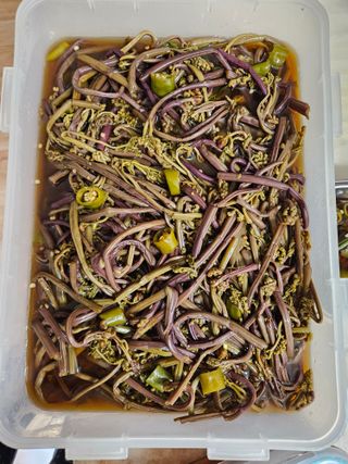 제주 지안이네농장님의 자유주제 · 자유게시판 작성글 사진