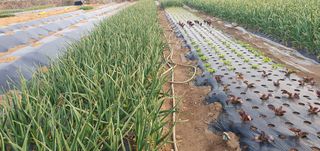 김익중님의 자유주제 · 자유게시판 작성글 사진