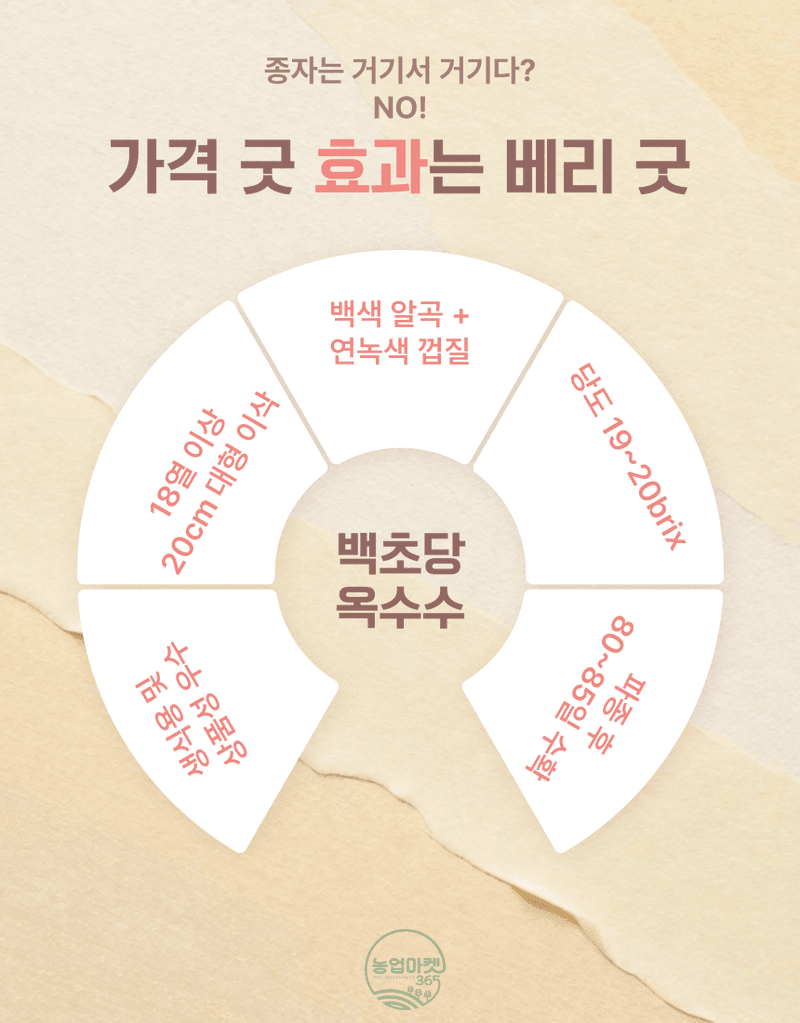 농업마켓365님의 장터 판매 상품 [농업마켓365 아시아종묘 초당옥수수 백초당옥수수 2000립 씨앗 종자 텃밭 주말농장 농사 ] 첨부 사진