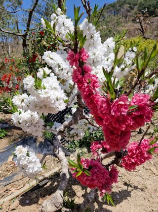김재열님의 자유주제 · 자유게시판 작성글 사진