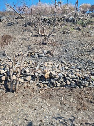 김용대님의 자유주제 · 자유게시판 작성글 사진