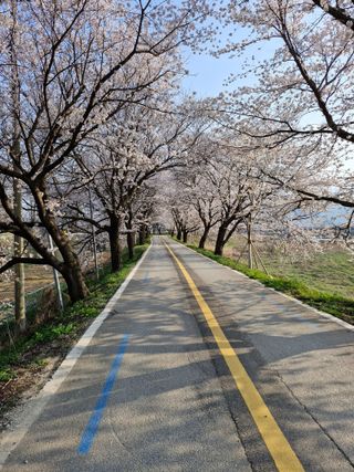 김태연님의 자유주제 · 자유게시판 작성글 사진