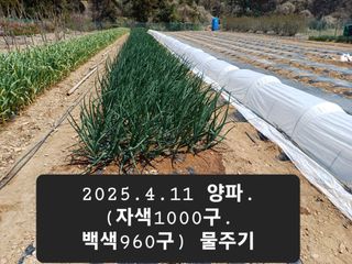 박성민님의 자유주제 · 자유게시판 작성글 사진