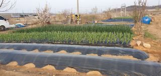 김익중님의 자유주제 · 자유게시판 작성글 사진