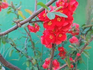 안길원님의 자유주제 · 자유게시판 작성글 사진