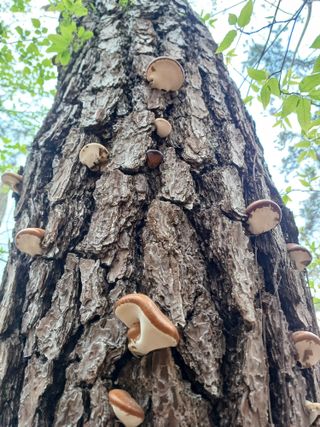 김연홍님의 자유주제 · 자유게시판 작성글 사진