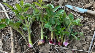 꿈 잇는 마을님의 작성글 사진