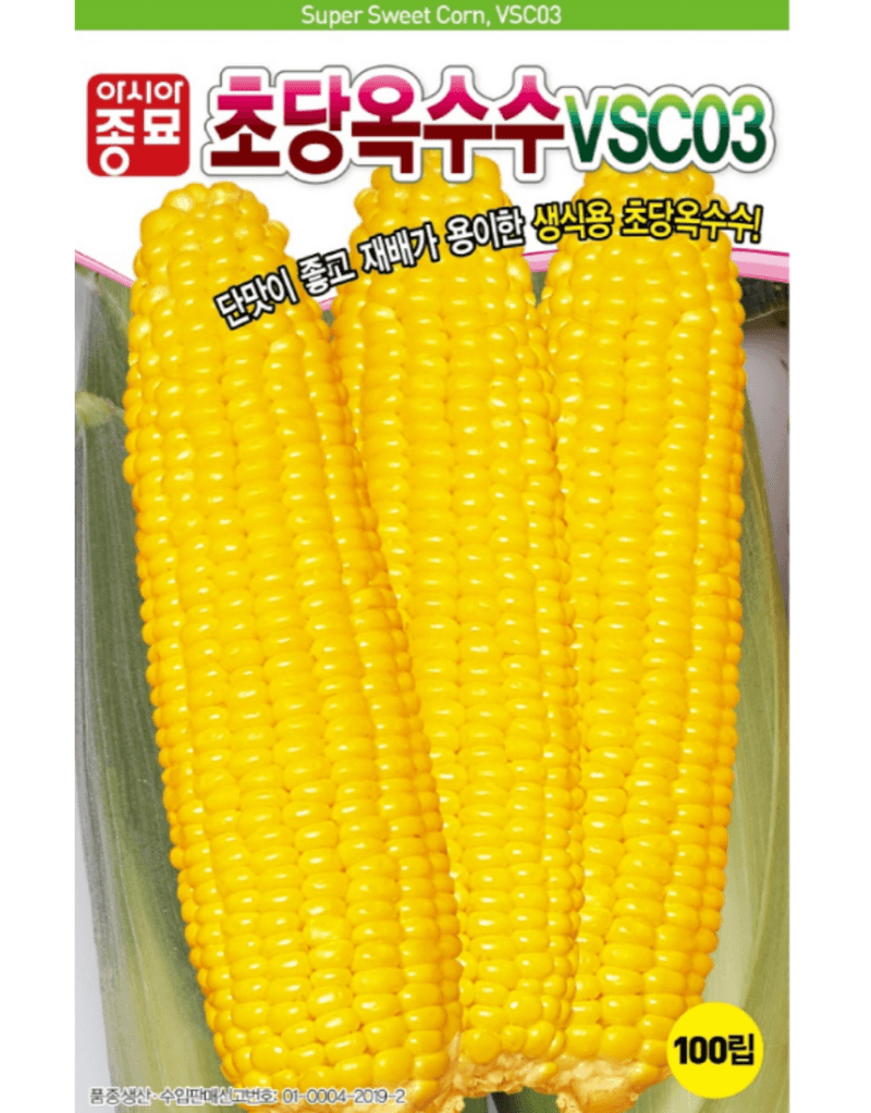 농업마켓365님의 장터 판매 상품 [농업마켓365 아시아종묘 초당옥수수 vsc03 100립 씨앗 종자 텃밭 주말농장 농사 옥수수] 첨부 사진
