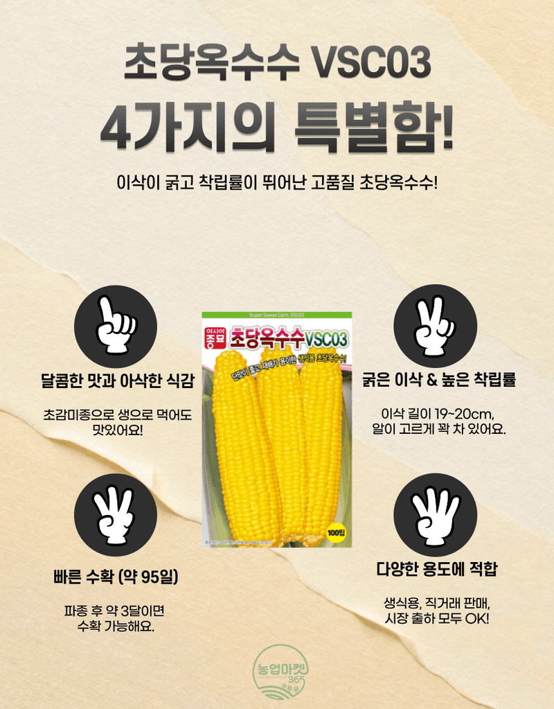 농업마켓365님의 장터 판매 상품 [농업마켓365 아시아종묘 초당옥수수 vsc03 100립 씨앗 종자 텃밭 주말농장 농사 옥수수] 첨부 사진