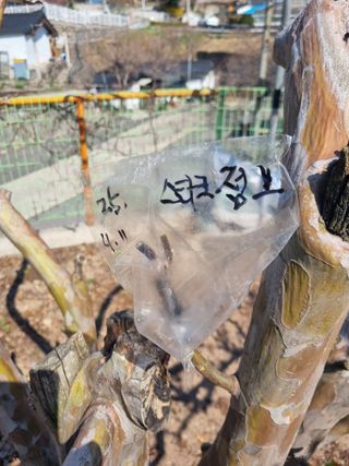 김용대님의 자유주제 · 자유게시판 작성글 사진