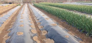 김익중님의 자유주제 · 자유게시판 작성글 사진