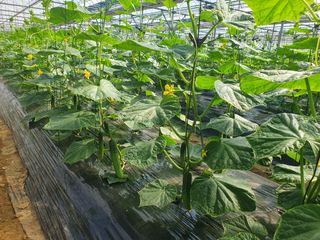 오이0213님의 자유주제 · 자유게시판 작성글 사진