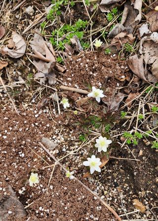 고추건조기부품판매님의 자유주제 · 자유게시판 작성글 사진