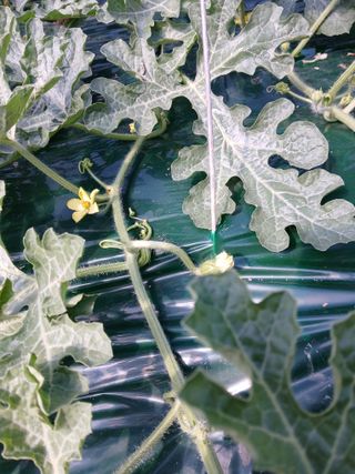 Smy1245678님의 자유주제 · 자유게시판 작성글 사진