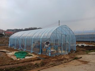 김광기님의 자유주제 · 자유게시판 작성글 사진