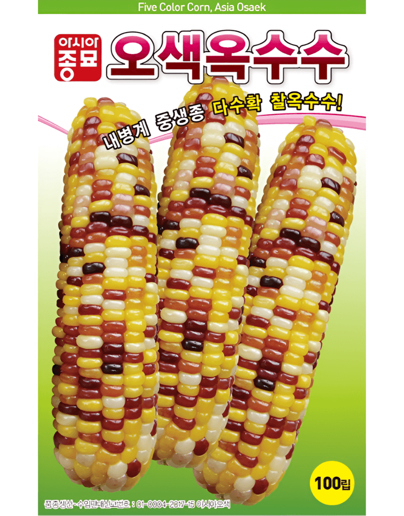 농업마켓365님의 장터 판매 상품 [농업마켓365 아시아종묘 옥수수 오색옥수수 2000립] 첨부 사진