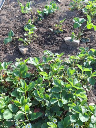 이세순님의 자유주제 · 자유게시판 작성글 사진