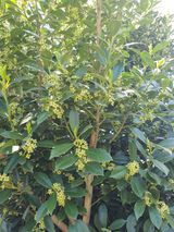 팜모닝 자유주제·자유게시판 게시글 이미지